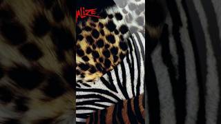 Kiss  Animalize🔥 🌟 40 років  40 years 👏 KISS [upl. by Der]