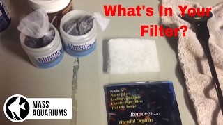 Saltwater Aquarium HOB Filter Explained No Sump No Skimmer [upl. by Gensler]