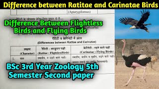 Difference Between Ratitae and Carinatae Birds  BSc 3rd year Zoology 5th Semester Second paper [upl. by Olrac]