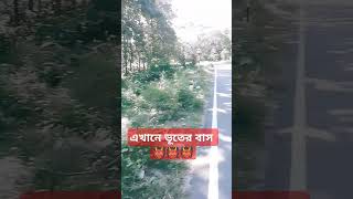 ভয়ানক জঙ্গল 👹👹 comedy shortsfunny bhoot funny ghost [upl. by Siddra]