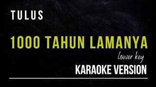 TULUS  1000 TAHUN LAMANYA KARAOKE VERSION LOWER KEY [upl. by Bast]