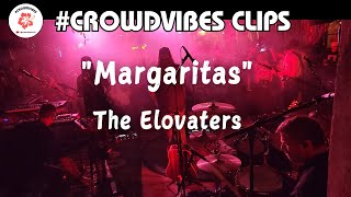 The Elovaters quotMargaritasquot live at The Music Yard Charlotte Encore RollUpTour 10042024 [upl. by Hube]