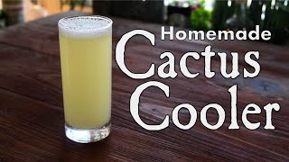 Homemade Natural Cactus Cooler Soda Orange Pineapple Soda [upl. by Doris979]