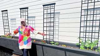 How To Make A Cinder Block Garden Bed  Step By Step Build [upl. by Raymonds]