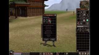 Metin2  Offline Shop System [upl. by Rehpatsirhc]