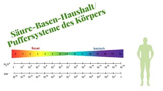 SäureBasenHaushalt Komplett erklärt für die Heilpraktikerprüfung [upl. by Engel]