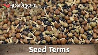 Understanding Seed Terms [upl. by Christianity]