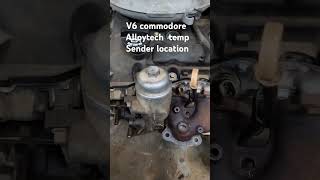 V6 commodore alloytech temp sender location [upl. by Notniw]