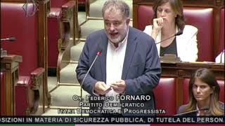 FORNARO quotRISCHIO DI DERIVA ILLIBERALE IL GOVERNO SI FERMI SUL DECRETO SICUREZZAquot [upl. by Ebner113]