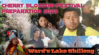 Shillong Cherry Blossom Festival Preparation 2024  Wards Lake Shillong [upl. by Christa]