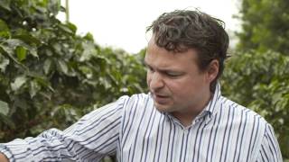 Jan Wagenfeld demonstriert Tchibo Arabica am Mount Kenya [upl. by O'Neill]