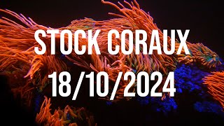 STOCK CORAUX 18102024 [upl. by Nadab20]