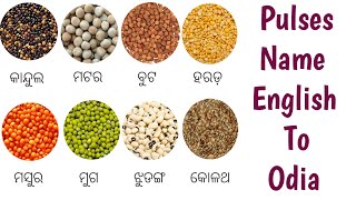 Pulses names in english and odia with pictures ll Daali ra naam english re englishmania [upl. by Lemuel]