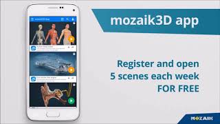 mozaik3D app [upl. by Adnamma]