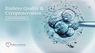 Embryo Quality amp Cryopreservation  How embryos are created amp how it affects your FET success [upl. by Thoma189]