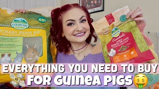 GUINEA PIG BUYING GUIDE💸 [upl. by Arianna]