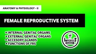 Female Reproductive System  Anatomy amp Physiology  HAP B Pharm 2nd Semester [upl. by Paulette684]