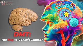 The Profound Potential of DMT  Psychedelic brain connections [upl. by Yelah]