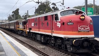 The Newcastle Picnic Train 16112024 [upl. by Arakat50]