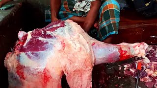 Very Big Size Cow Leg Cutting Video  The Village Meat Market  The Fastest Meat Cutting Pro [upl. by Holder]