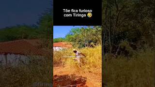 Tõe ficou puto 🤣 tiringaecharlles humor tiringaoficial tiringamemes memes [upl. by Zita]