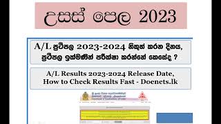 උසස් පෙල ප්‍රතිපල වහාම නිකුත් කරයි AL Results 2023 released now [upl. by Ettari]