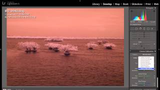 Creating An Adobe Camera RAW Infrared White Balance Profile [upl. by Arocahs]