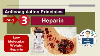 Heparin Anticoagulation Principles  Part 3 Low Molecular Weight Heparin [upl. by Zelma]