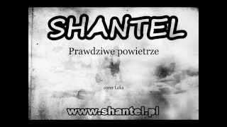 ShanteL  Prawdziwe powietrze cover Loka [upl. by Dleifxam]