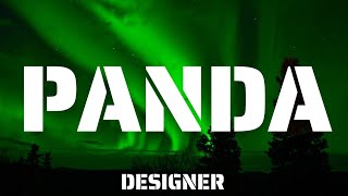 Designer  Panda Lyrics [upl. by Nnaeel]