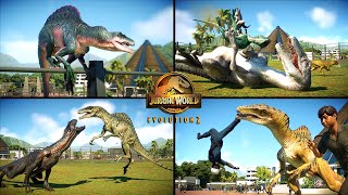 ALL BEST SPINORAPTOR ANIMATIONS AND INTERACTIONS INGAME🦖  Jurassic World Evolution 2 [upl. by Sualkcin]