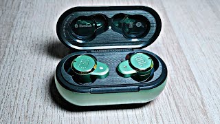 JBL T280 Pro TWS True Wireless Bluetooth Earbuds Review [upl. by Ginnifer]