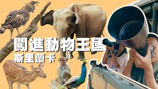 闖入動物王國 發現斯里蘭卡是野生動物的樂土 [upl. by Asirrac]