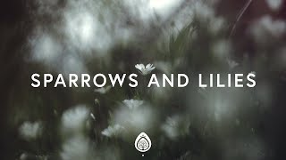 1 Hour  Pat Barrett  Sparrows And Lilies Lyrics  Worship Lyrics [upl. by Yraunaj]