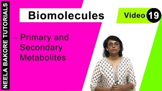 Biomolecules  NEET  Primary and Secondary Metabolites  Neela Bakore Tutorials [upl. by Carmine]