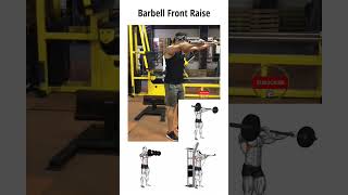 Barbell front raises and variations [upl. by Duffie]