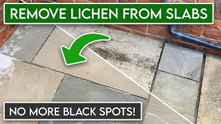 How to Remove Black Spots amp Lichen from Sandstone Slabs  Patio Cleaning [upl. by Lihcox]