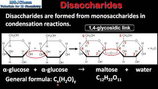 B4 Disaccharides SL [upl. by Amol212]