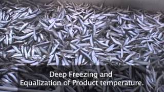 Frigoscandia FLoFREEZE® IQF Freezing Sardines [upl. by Verile801]