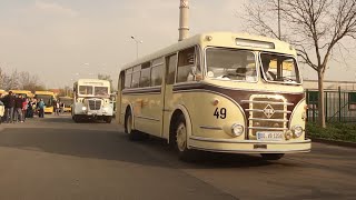 100th Anniversary of Bus History in Dresden  Convoy [upl. by Doner]