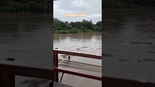 GUANACASTE UNDER WATER Tempisque River Floods Its Banks costarica floods [upl. by Yadseut709]