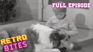 Lassie  The Puppy Story  Full Episodes 🐕 [upl. by Liw]