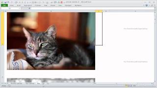 Picture Calendar Template in Excel  How does it Work [upl. by Eenaffit]