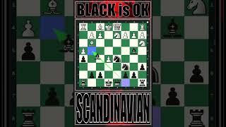 Gm Daniil Dubov  Scandinavian Defense chess chessgrandmaster chesstactics chessstrategy beats [upl. by Nairbo260]