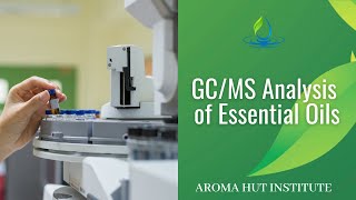 GCMS Analysis of Essential Oils  Gas Chromatography Mass Spectrometry GCMS [upl. by Crescen765]