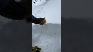 How to measure snow depth using chickens [upl. by Norry]