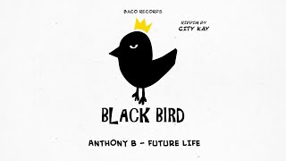 🦅 Anthony B  Future Life Black Bird Riddim by City Kay [upl. by Ardried163]