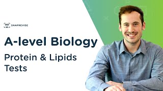 Protein amp Lipids Tests Biuret amp Emulsion Test  Alevel Biology  OCR AQA Edexcel [upl. by Ahsimit]