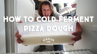 How to cold ferment your pizza dough [upl. by Nikolas]