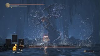 Useless Miwa vs Midir DARK SOULS III [upl. by Sukul]